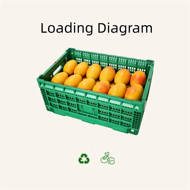 Large Mesh Foladable Plastic Crate high quality